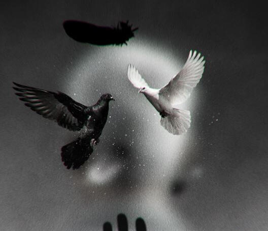 Short-Form Book Promo